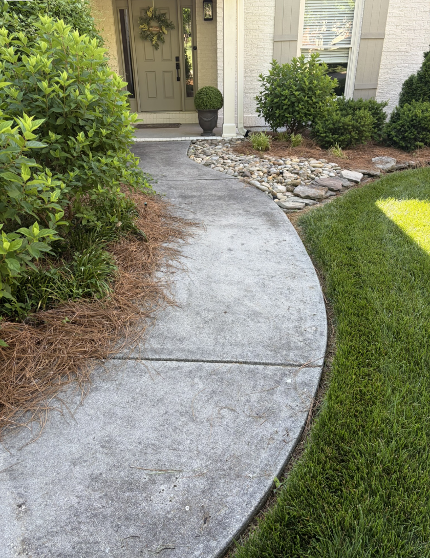 Before pressure washing
